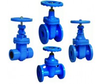 Cast Iron Gate Valve