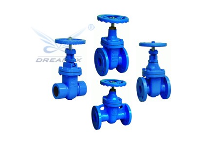 Cast Iron Gate Valve