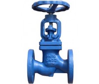 Cast Iron Globe Valve