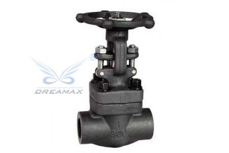 Forged Steel Gate Valve