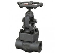 Forged Steel Globe Valve