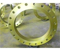 Carbon Steel Flange 2