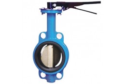 Butterfly Valve