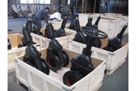 Chile Marine Project
