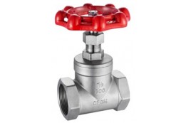 Globe Valve