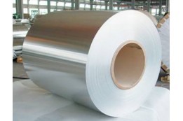 Stainless Steel Coil/Sheet